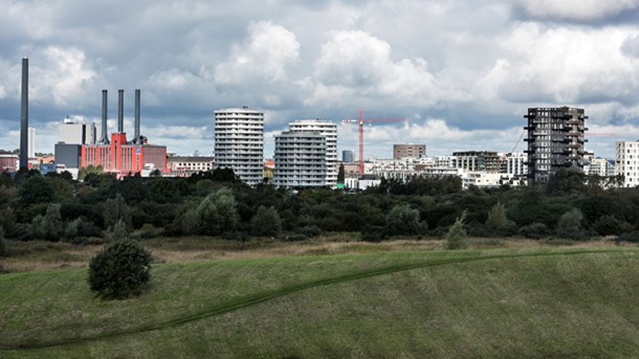 Planerne om at bygge boliger på blandt andet Amager Fælled har fået nyt liv med en politisk aftale om at droppe naturfredning.&nbsp;&nbsp;