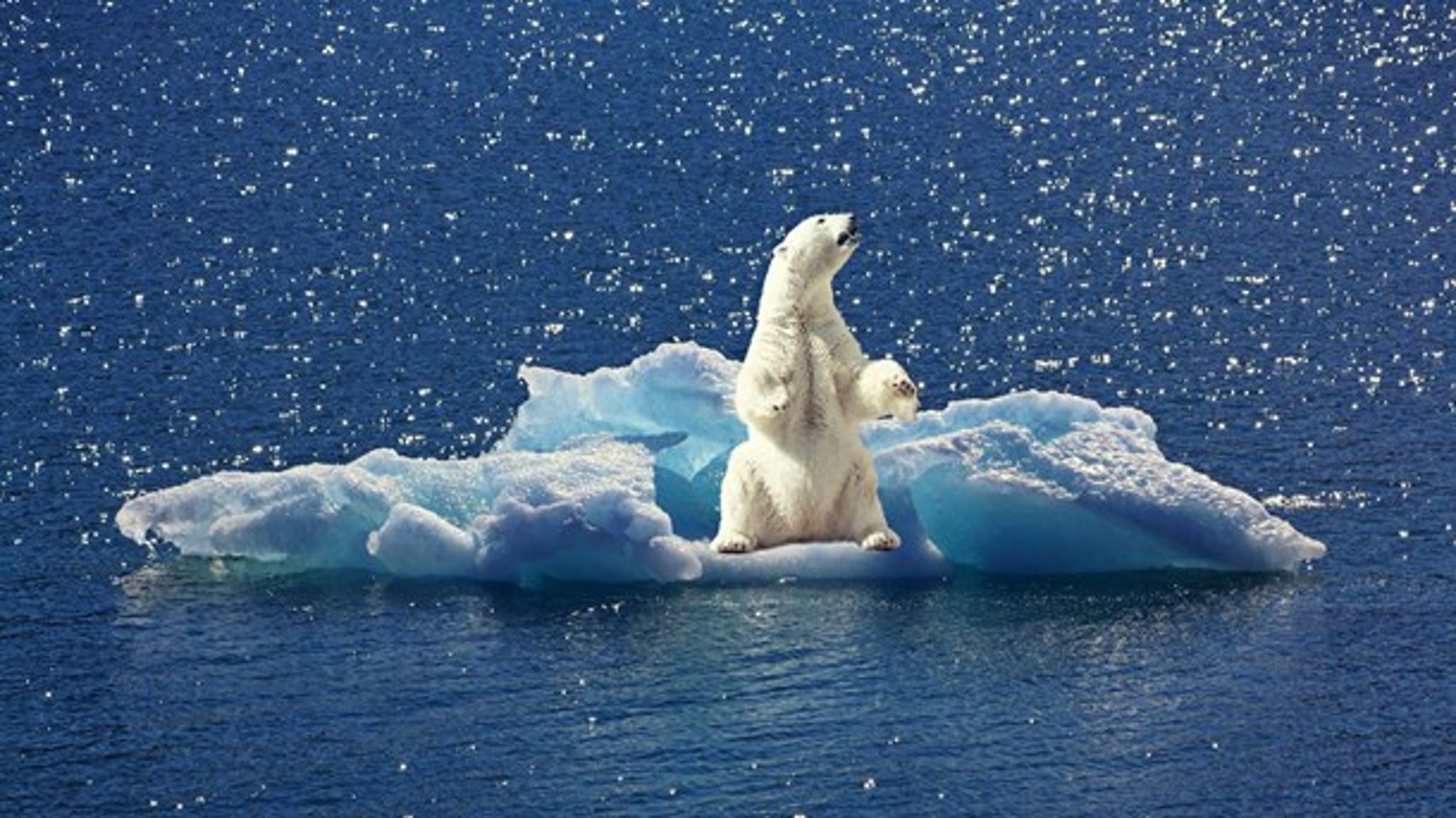 To finske forskere udfordrer på flere helt centrale områder den bestående klimavidenskab - herunder at mennesket slet ikke har andel i klimaforandringerne.