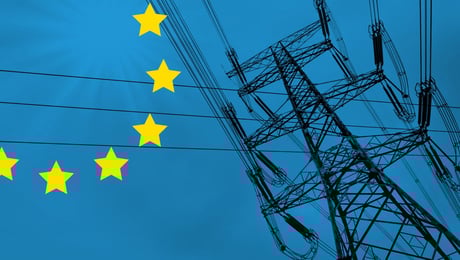 Klimarådsformand: Danmark bør arbejde for grønt energimarked med Tyskland