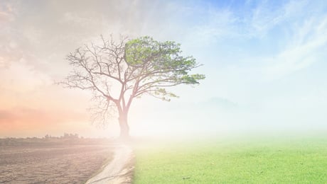 Klimaomstillingen kommer med eksponentiel fart