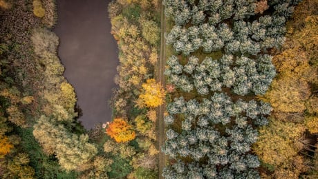 Klimaet er trådt ind i de voksnes rækker – det stiller nye krav til ledelser