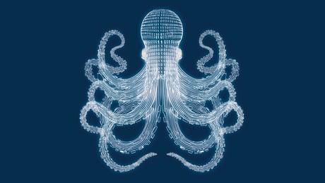 Big tech vinder det stille søslag om internettets rygrad 