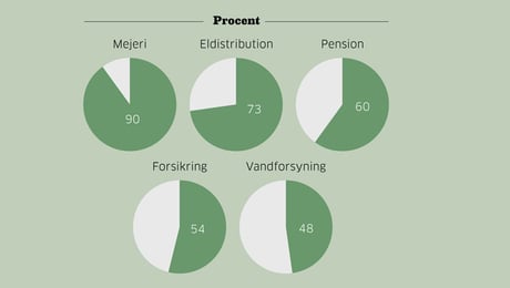 Smør, strøm og penge: Andelskraften lever i den grønne omstillings vigtigste brancher