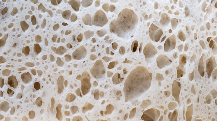 Fremtidens fødevarer: Kunsthåndværk og bakteriesuppe