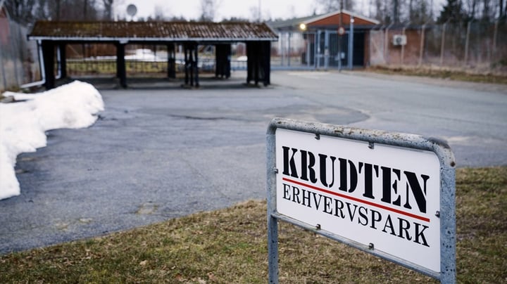 Kapitalismen har fået en ny mutant – og Danmark er frontløber