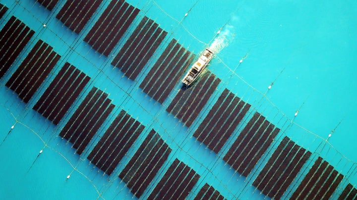 Ka’ De li’ tang?