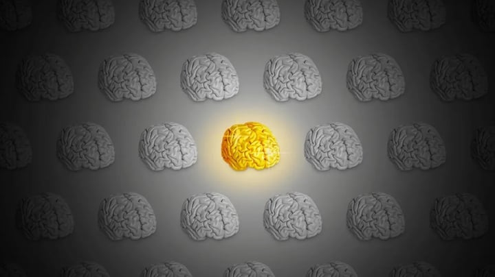 I hele verden spilder forsømte genier deres talent, fordi de aldrig bliver opdaget