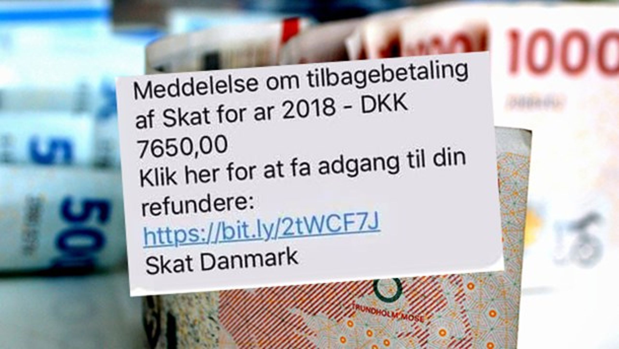 Sådan ser den sms ud, som mange danskere har modtaget, siden Skattestyrelsen for en uge siden udsendte årsopgørelserne.