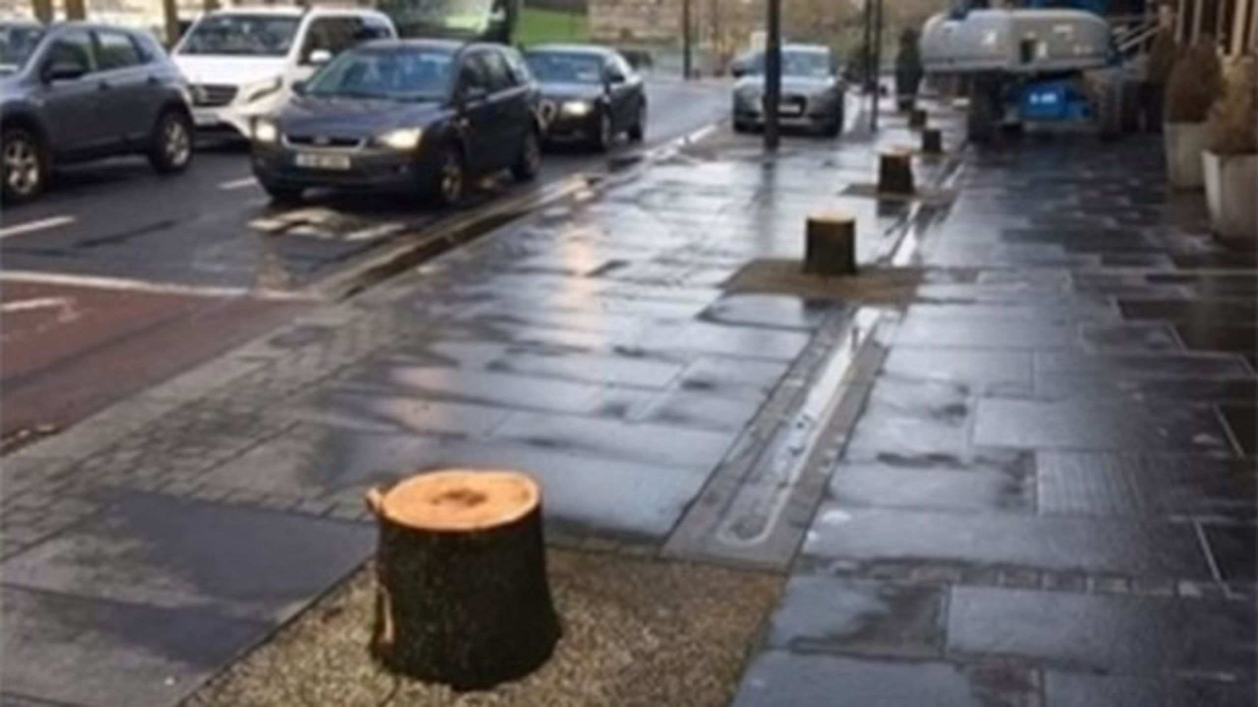 Den sydirske by Waterford foretog i løbet af vinteren en omfattende beskæring af træer. Men det var ikke på grund af det nye 5G-mobilnetværk, oplyser kommunen.