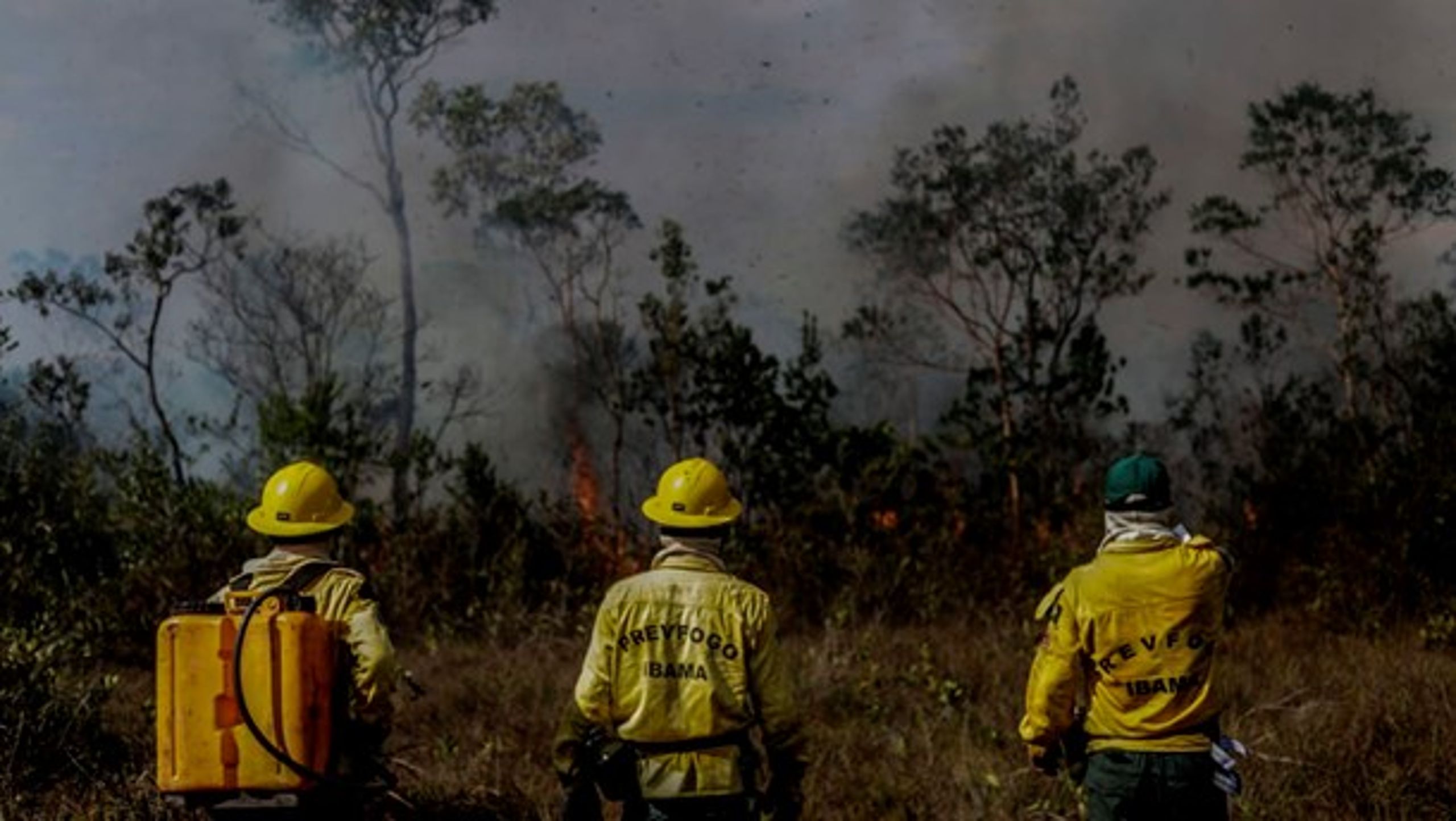 Brasilianske brandmænd i kamp mod flammerne, der i flere uger har raseret Amazonskoven, 26. august 2019.