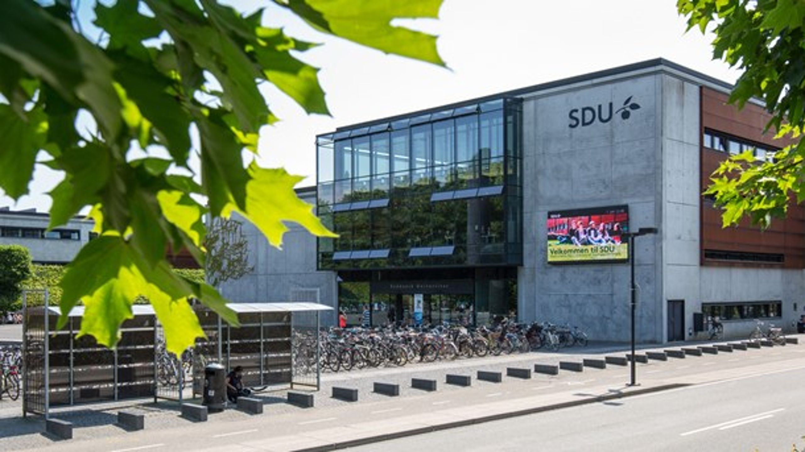 Syddansk Universitet vil intensivere undervisning og forskning på områder med relevans for verdensmålene.