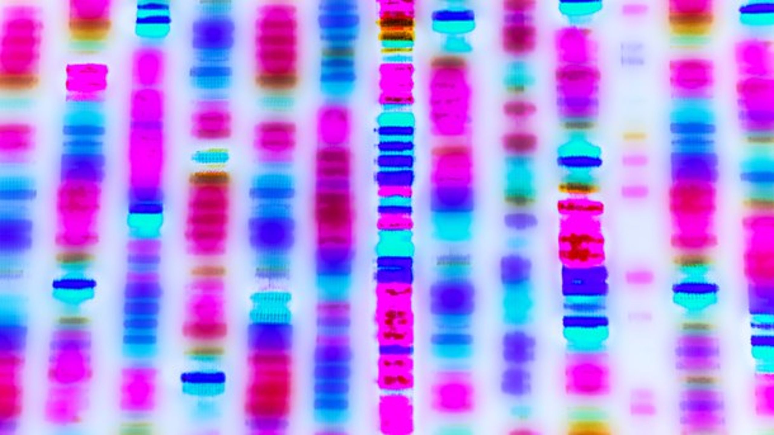 En DNA-test afslører også vigtig viden om nære slægtninge - og forståelsen af dataene vokser år for år