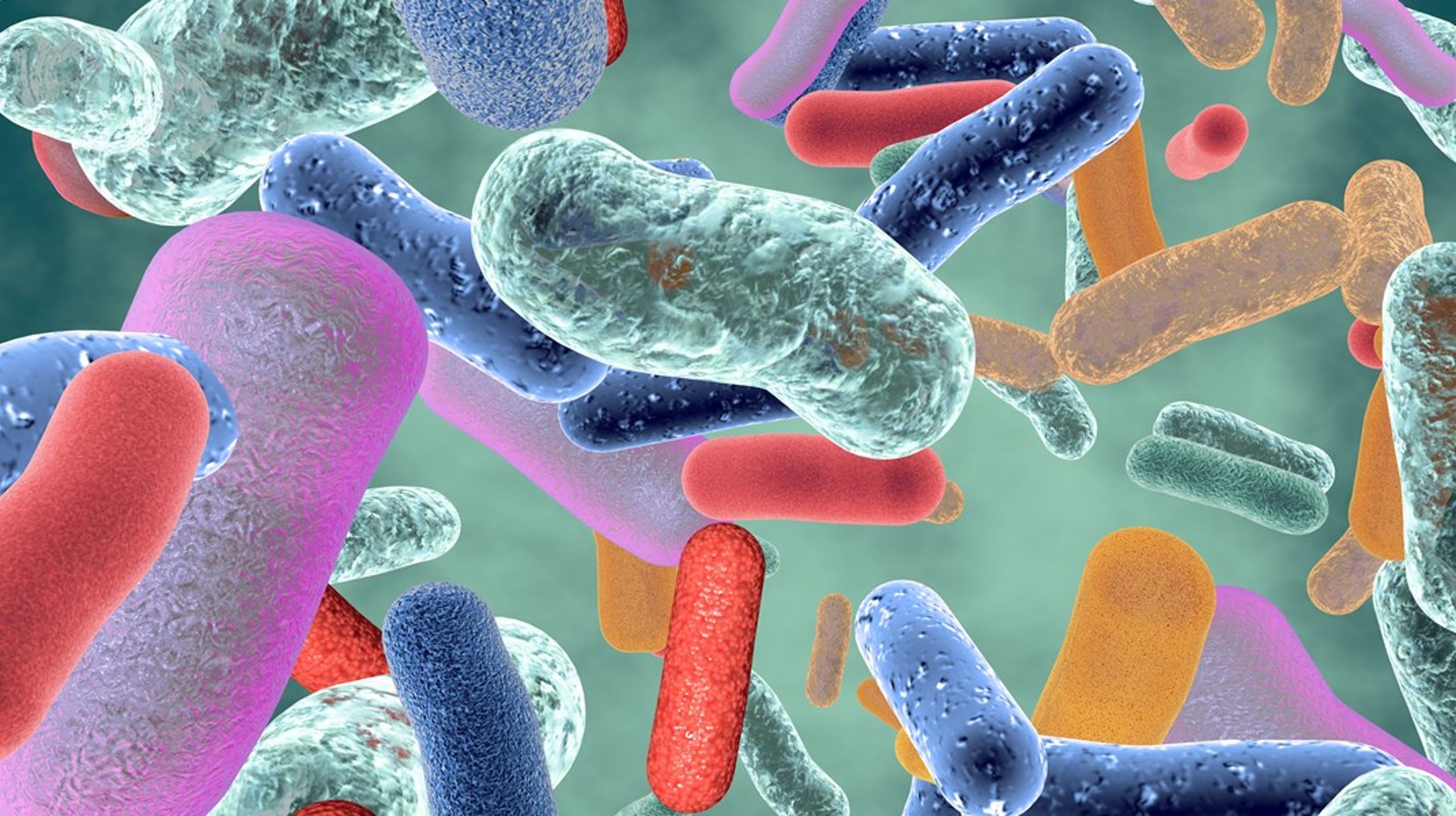 Bakterier er uundværlige for vores sundhed