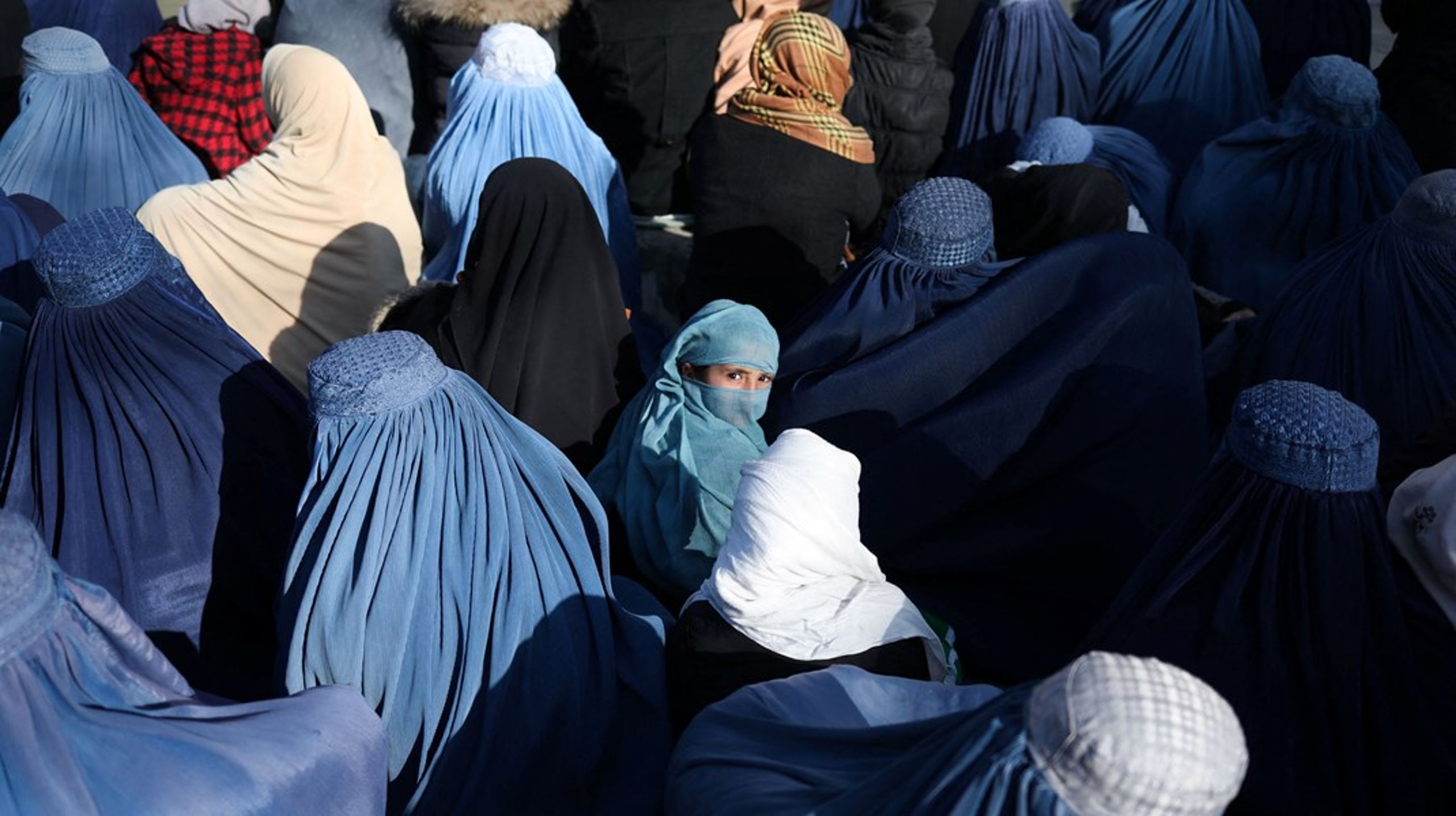 Pige i brødkø i Kabul, 31. januar 2022.