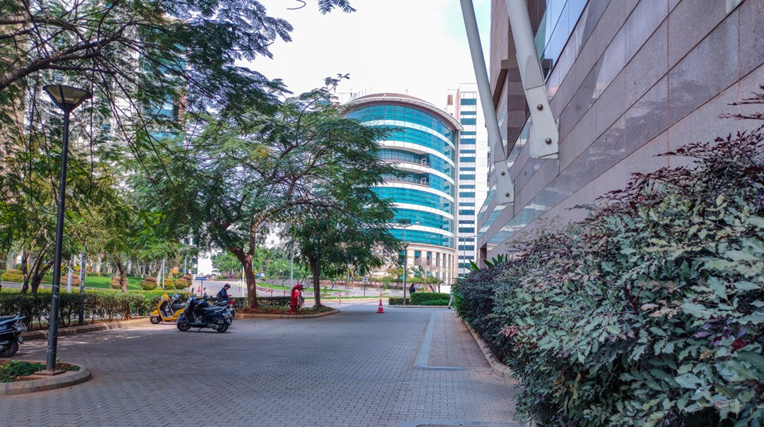 I Bangalore ligger de store techvirksomheders pletfri campus lige op og ned af Indiens kaotiske mylder