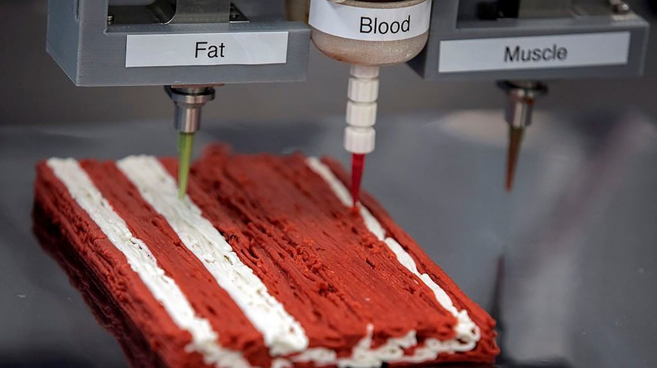 Redefine Meat bruger 3D print til at skabe de strukturer man kender&nbsp;fra en bøf - men med plantebaserede ingredienser