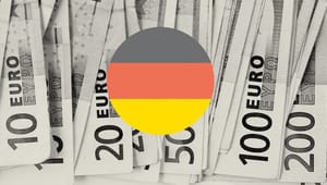 Tysk topprofessor: Højere løn til tyske arbejdere vil styrke euroen