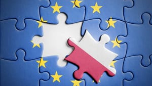 EU bør droppe ’atombomben’ mod Polen