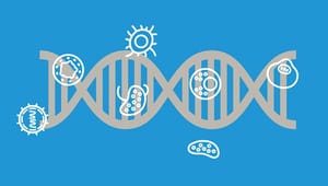 Epigenetik er genernes styresystem