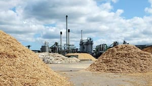 Eksperter: Regeringens biomasselov får lille effekt på klimaet 