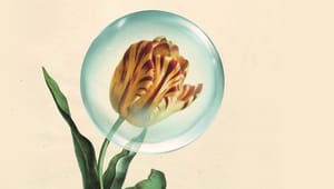 Fra tulipaner til .com-aktier – sådan opstår finansielle bobler