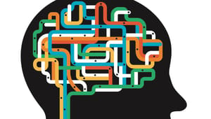 Forskere vil opgradere hjernen