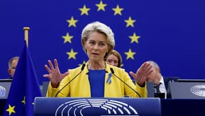 EU-topchef presser dansk Europa-politik