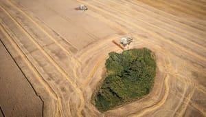 Lempelig lovgivning gør dansk landbrugsjord attraktiv for udenlandske kapitalfonde