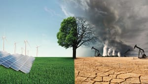 Tænketank: Klimaforandringer kan udløse den næste store økonomiske krise