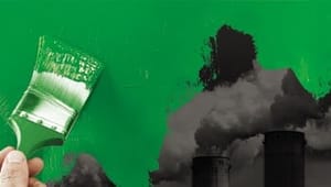 Harvard-professor: Alt for mange virksomheder bluffer sig grønne