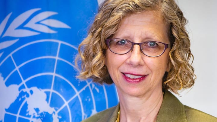 Miljøchef i FN: Klimakrisen er kun én af tre planetære kriser