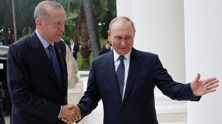 Vi har ikke råd til at agere ligeså naivt over for Erdogan, som vi gjorde over for Putin