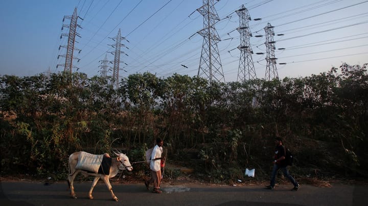 Indien satser på grøn energi – i massiv skala